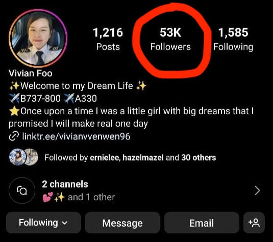 Vivian Foo Instagram profile